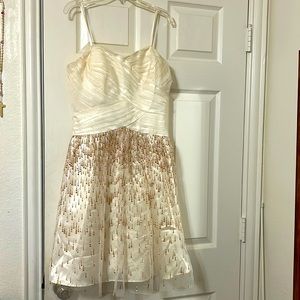 A dress, in good condition.